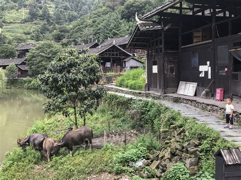 rural area sex selection in china